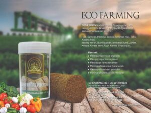 Read more about the article Eco Farming Pupuk Organik Paling Dahsyat