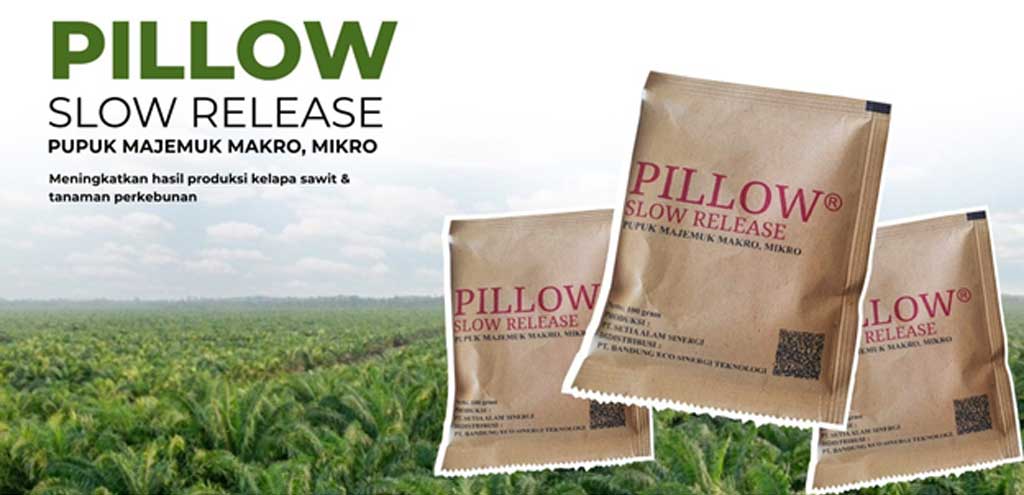 pillow-slow-release-1.jpg