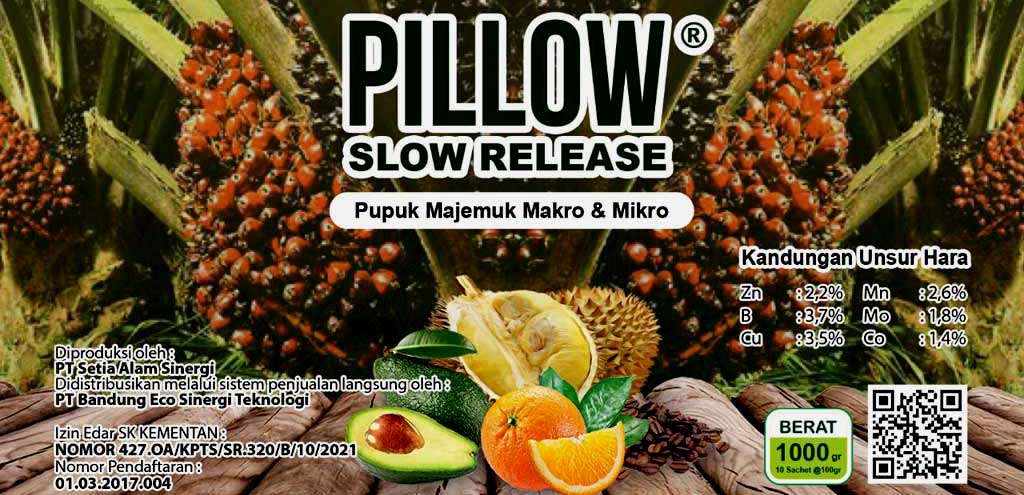 pillow-slow-release.jpg